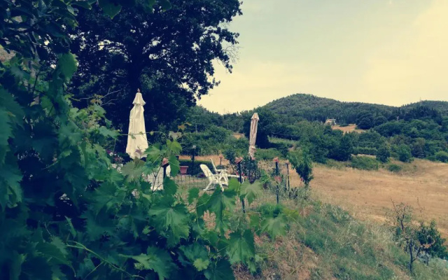 I Castagnini
