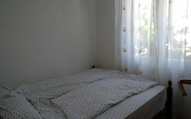Vila Gerbera