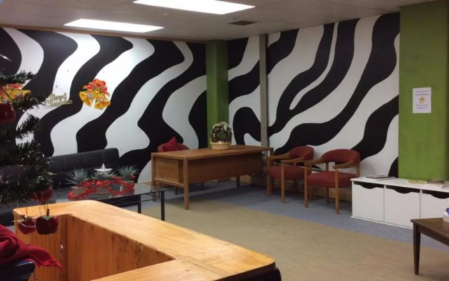 Wild Zebra Backpackers