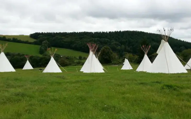 Winema Bisonranch