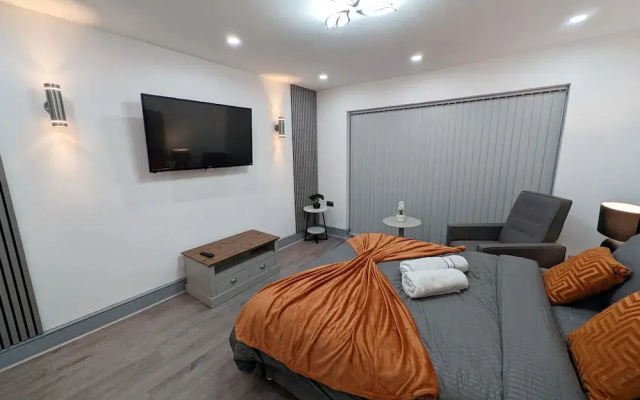 Spacious and Comfortable Modern Rooms