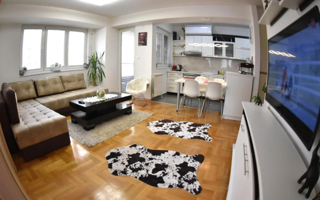 New, Modern & Cozy Apartment in the City