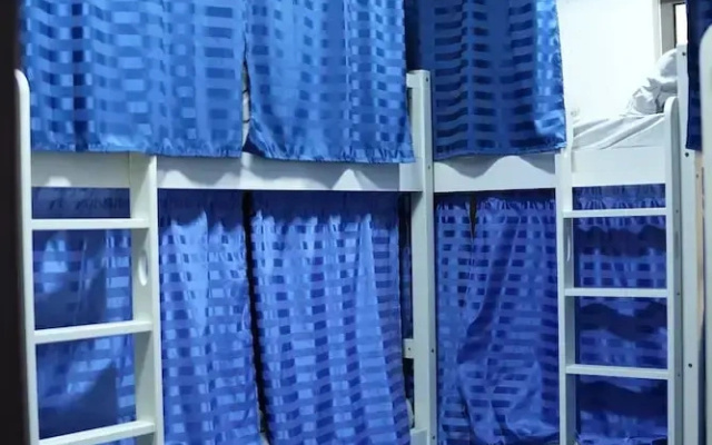 The Blue Parrot