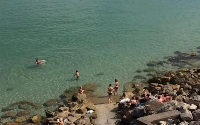 Appartement cosy les pieds dans l’eau, vue mer exceptionnelle
