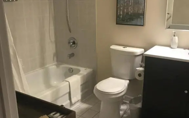 Beautiful 1 bedroom lower level apartment
