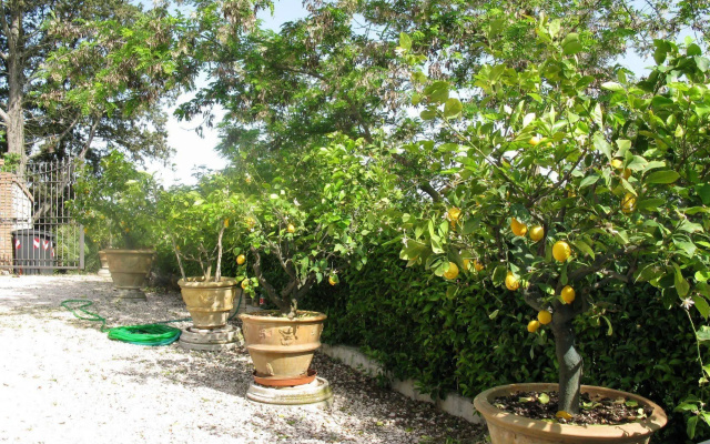 Agriturismo Vocabolo Palazzo
