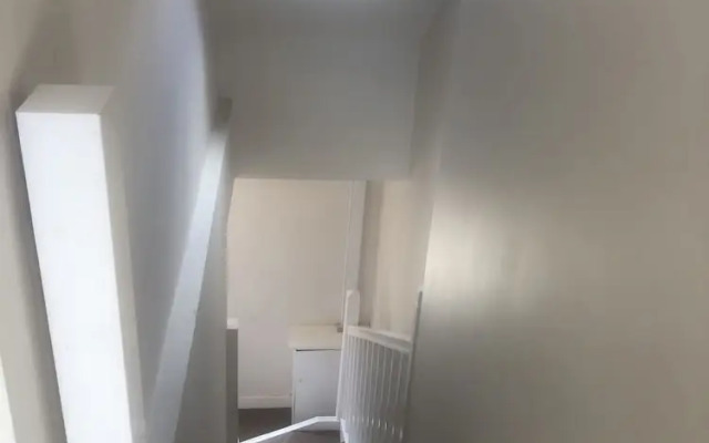 Hatfield Mews 2