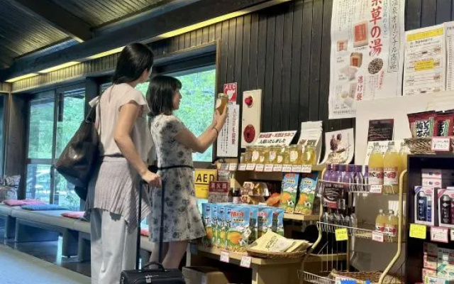 Ashino Onsen Hotel