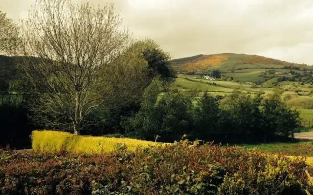 Ballyheefy Lodge