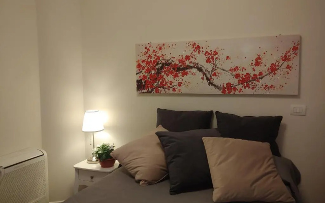 Tiny Room