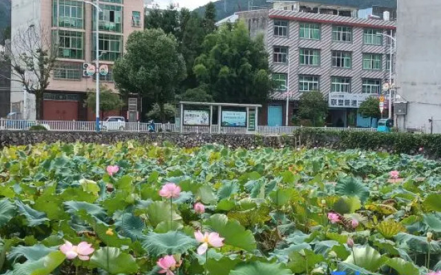 Shiguan Hepan Homestay