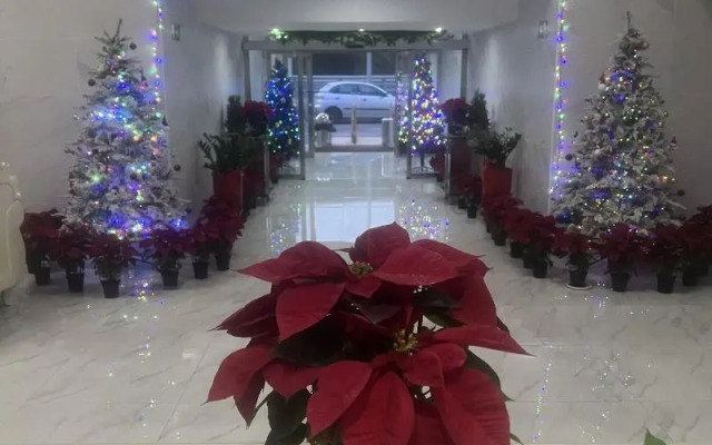 Hotel Aviación