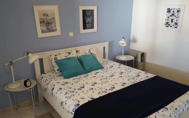 Vila Rosa Experience