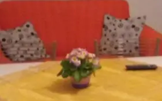 Casa Mia