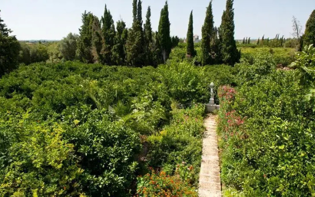 Villa Joana