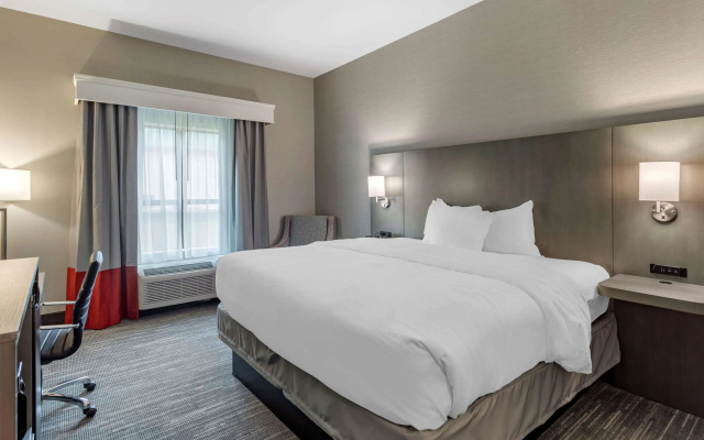 Comfort Inn & Suites Olive Branch Old Towne