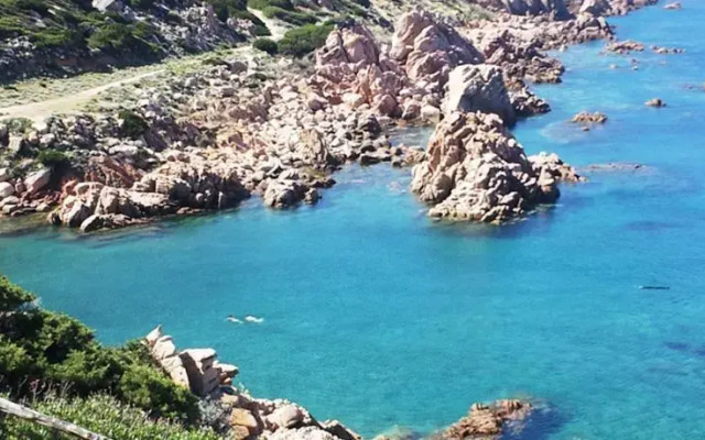 Coccole Di Mare