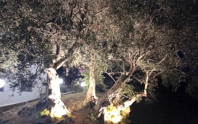 L'antica Quercia B&B