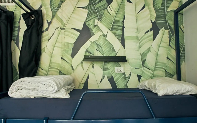 Jungle Jaffa Hostel Age 18 to 45