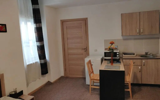 Sandor Central Studio Apartment