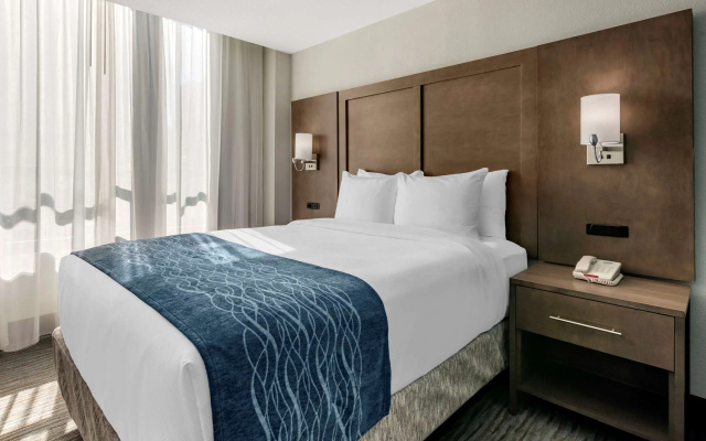 Comfort Inn & Suites Downtown Brickell-Port of Miami