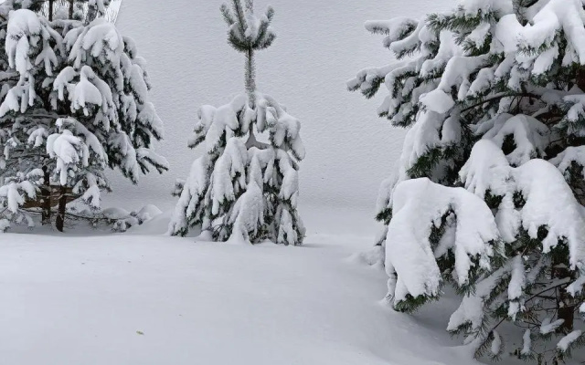 ЛаДача