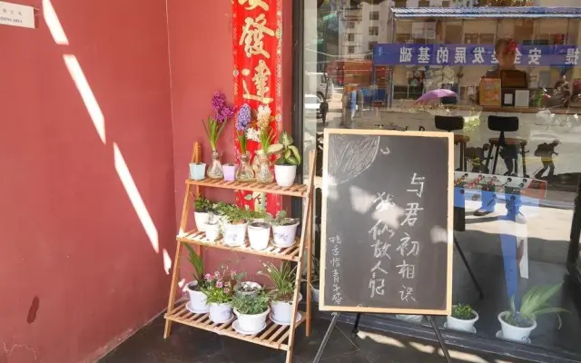 Zhangjiajie Peakcap Backpacker Hostel