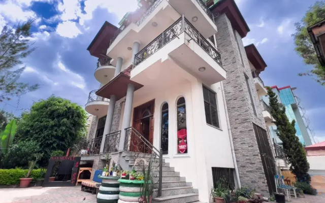 Mad Vervet Hostel