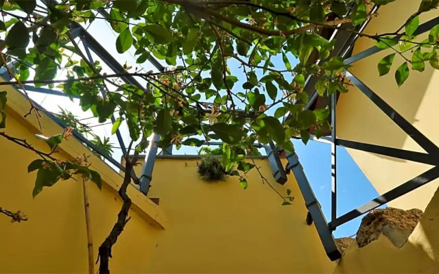 B&B Dalù
