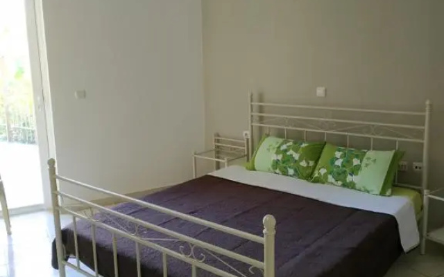 Urban comfortable apartment