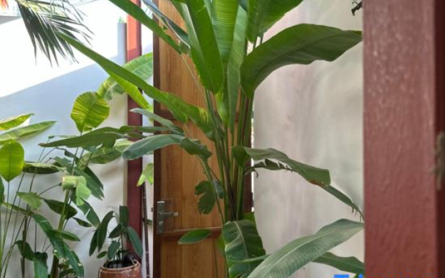 PalmCalina - PhuQui Beach House