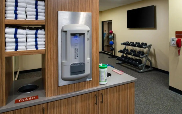 TownePlace Suites by Marriott Detroit Belleville