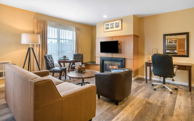 Comfort Inn & Suites Madison North