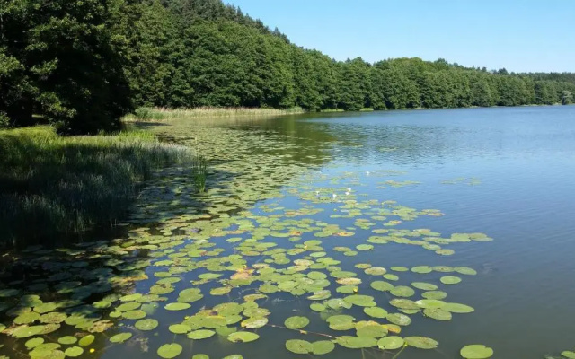 Siedlisko13