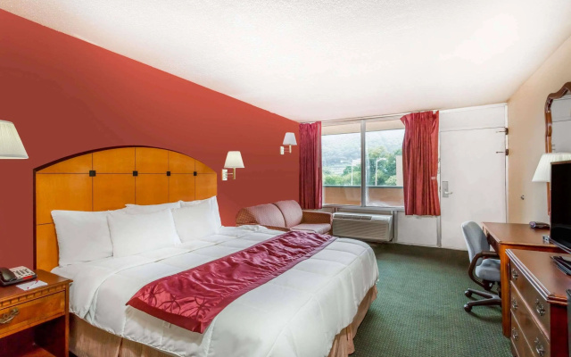 Ramada by Wyndham Roanoke
