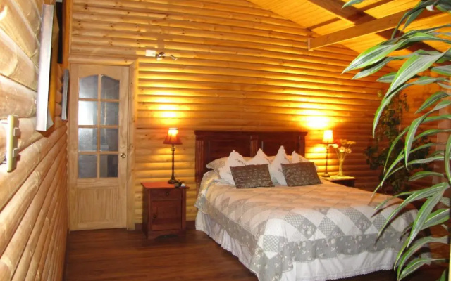 B&B Shambala HN