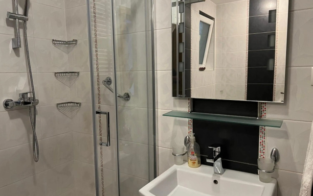 Apartment Vračar