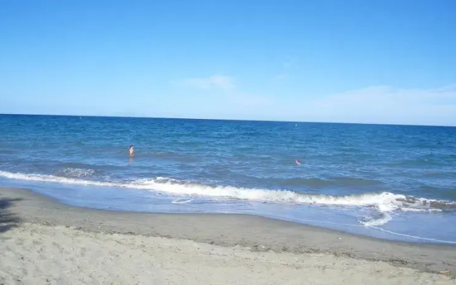 Le Figuier