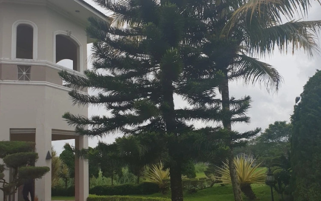 Green Hill Villa Sibolangit