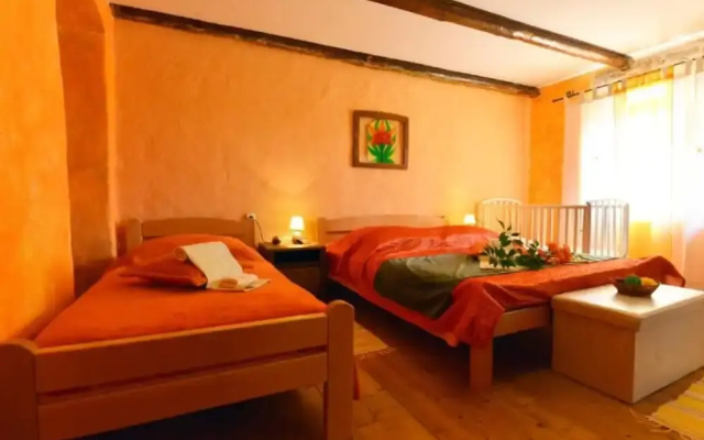 Authentic Istrian Holiday Home for Unforgettable Stays