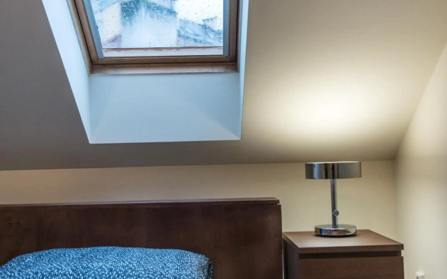 Spacious and Quiet Attic Flat in Centre