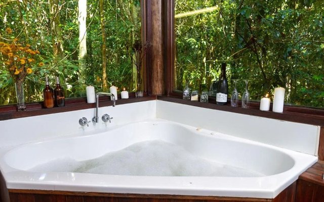 The Canopy Rainforest Treehouses and Wildlife Sanctuary