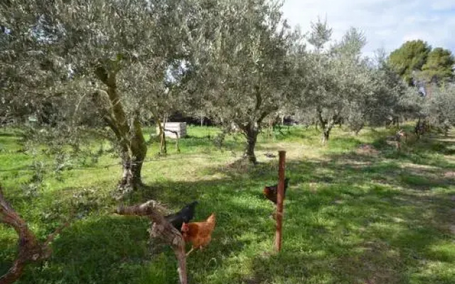 Le Cabanon de l'olivette