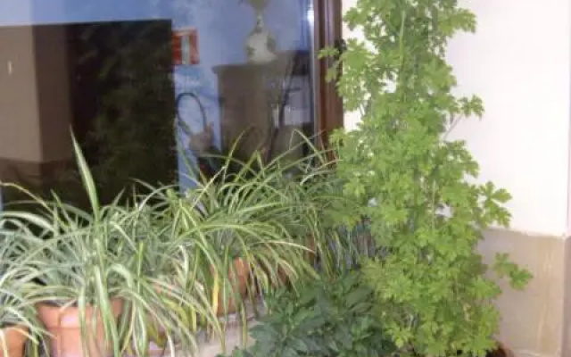 Casa Rural Rojanda