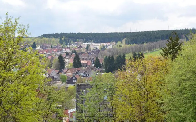 Harz-Suite
