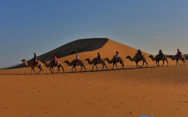 Shapotou Xingyue international camping base