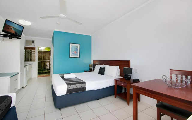 Cairns City Palms