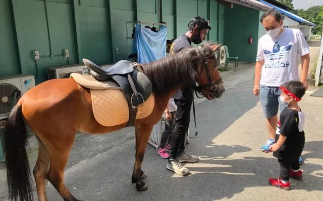Glamping @ Bukit Timah Horsecity