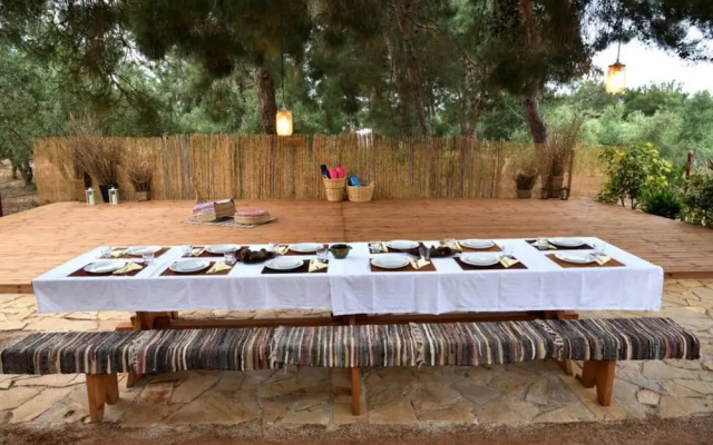 Cocoon Tent in an Olive Grove