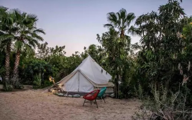 Todos Santos Hostel